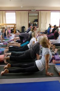 Urdhva Mukha Svanasana